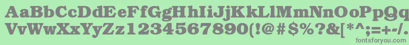 BookmanheavyRegular Font – Gray Fonts on Green Background