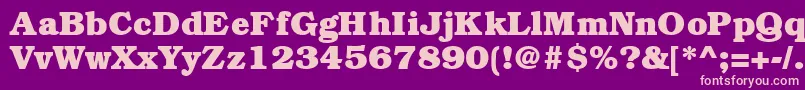 BookmanheavyRegular Font – Pink Fonts on Purple Background