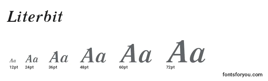 Literbit Font Sizes