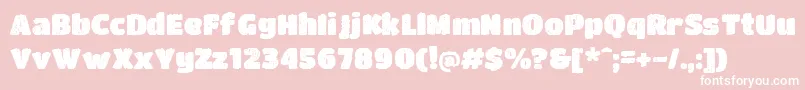 DccBushido Font – White Fonts on Pink Background