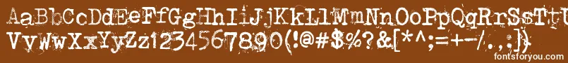 Punktype Font – White Fonts on Brown Background