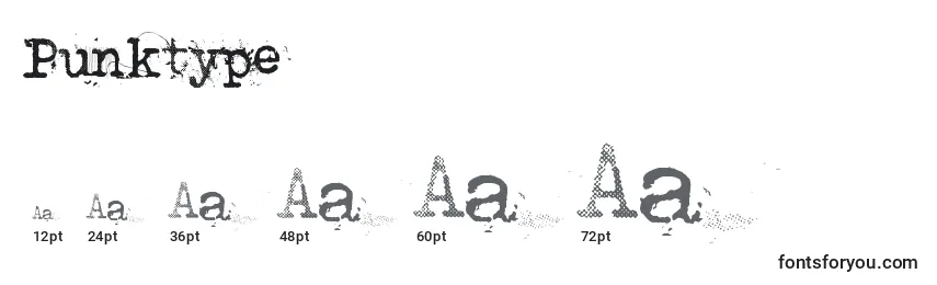 Размеры шрифта Punktype