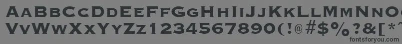 Weitere Informationen zur GraverplateextraboldRegular-Schriftart GraverplateextraboldRegular-Schriftart – Schwarze Schriften auf grauem Hintergrund