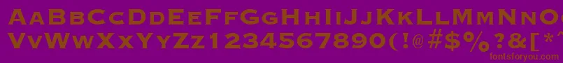 Police GraverplateextraboldRegular – polices brunes sur fond violet