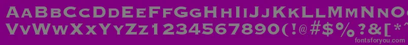 GraverplateextraboldRegular Font – Gray Fonts on Purple Background