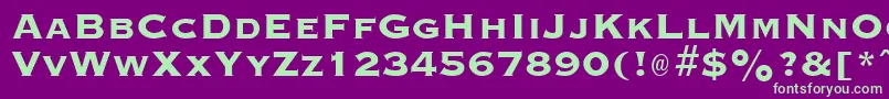 GraverplateextraboldRegular Font – Green Fonts on Purple Background