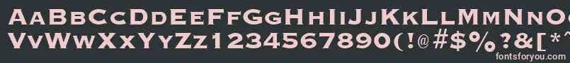 GraverplateextraboldRegular Font – Pink Fonts on Black Background