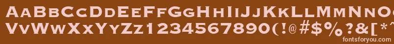 GraverplateextraboldRegular Font – Pink Fonts on Brown Background