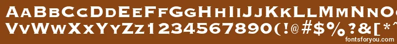 GraverplateextraboldRegular Font – White Fonts on Brown Background