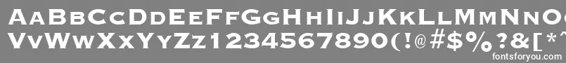 GraverplateextraboldRegular Font – White Fonts on Gray Background