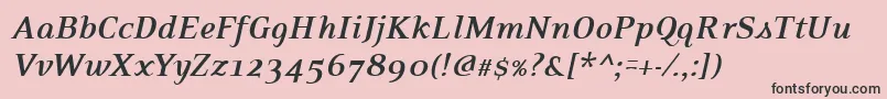 PfexecutiveBolditalic Font – Black Fonts on Pink Background