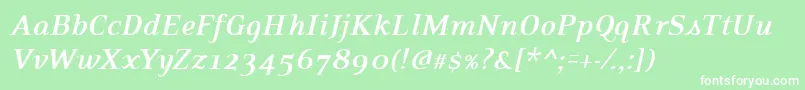 PfexecutiveBolditalic Font – White Fonts on Green Background