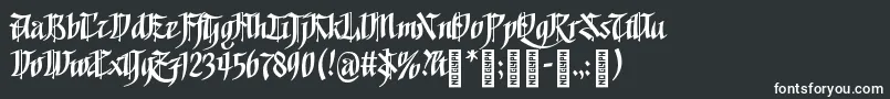 フォントGoalthinkRegular – 黒い背景に白い文字