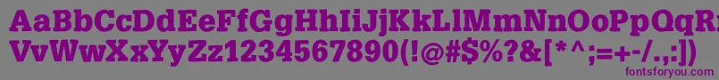 SlabsoftBold Font – Purple Fonts on Gray Background