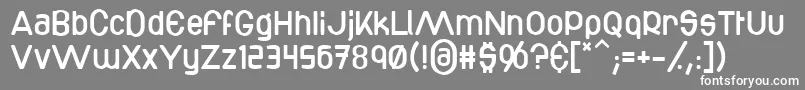 Bottix Font – White Fonts on Gray Background