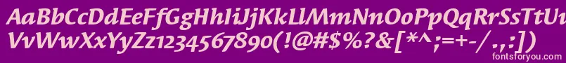 SyndorOsItcTtBolditalic Font – Pink Fonts on Purple Background
