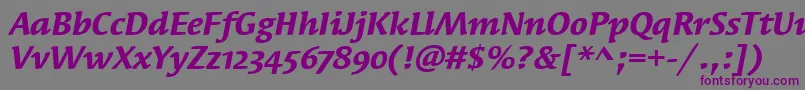 SyndorOsItcTtBolditalic Font – Purple Fonts on Gray Background