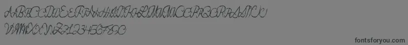 Flashdance Font – Black Fonts on Gray Background
