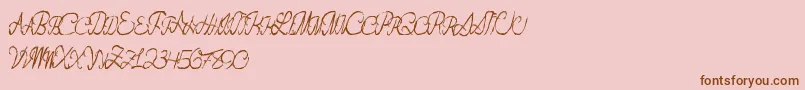 Flashdance Font – Brown Fonts on Pink Background