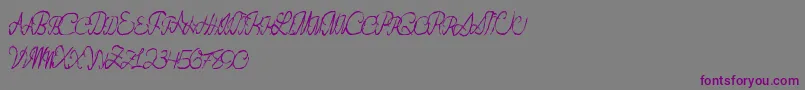 Flashdance Font – Purple Fonts on Gray Background