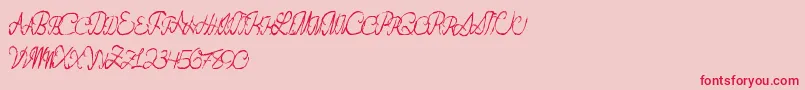 Flashdance Font – Red Fonts on Pink Background