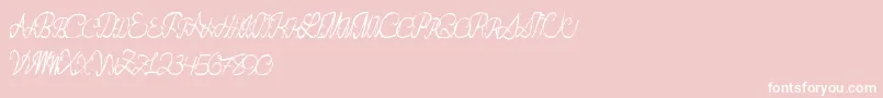 Flashdance Font – White Fonts on Pink Background
