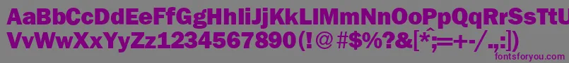 フォントFranklingothicnewHeavyRegular – 紫色のフォント、灰色の背景