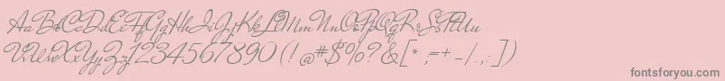 NicolettaScript-Schriftart – Graue Schriften auf rosa Hintergrund