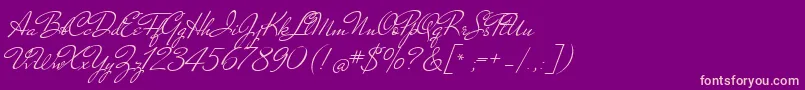 NicolettaScript Font – Pink Fonts on Purple Background