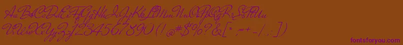 NicolettaScript Font – Purple Fonts on Brown Background