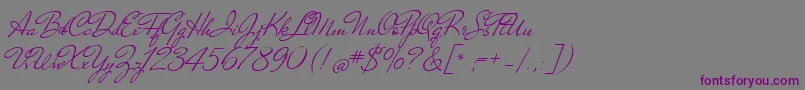 NicolettaScript Font – Purple Fonts on Gray Background