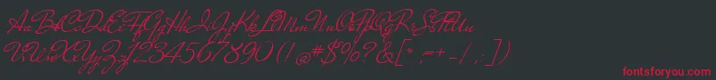 NicolettaScript Font – Red Fonts on Black Background