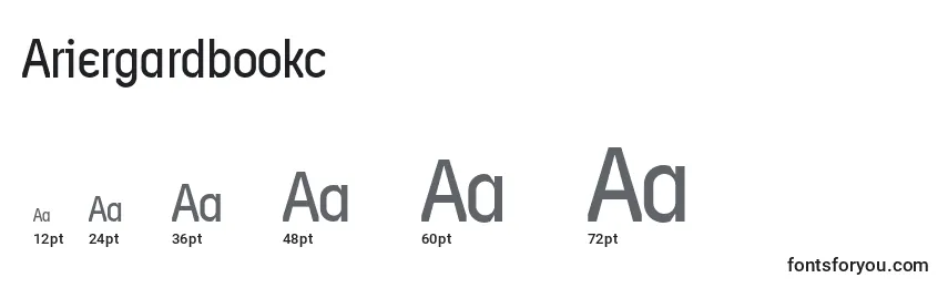 Ariergardbookc Font Sizes