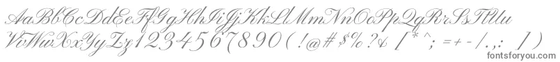 PinyonscriptRegular-fontti – harmaat kirjasimet valkoisella taustalla