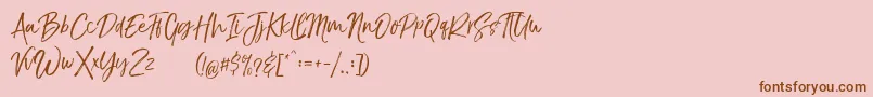 TheBraggestDemo Font – Brown Fonts on Pink Background