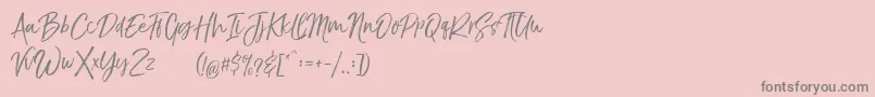 TheBraggestDemo Font – Gray Fonts on Pink Background