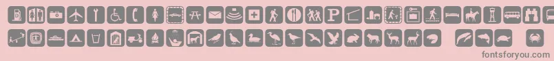 fuente Signpixone – Fuentes Grises Sobre Fondo Rosa