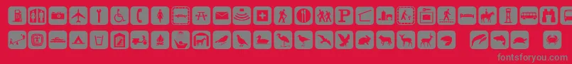 Signpixone Font – Gray Fonts on Red Background