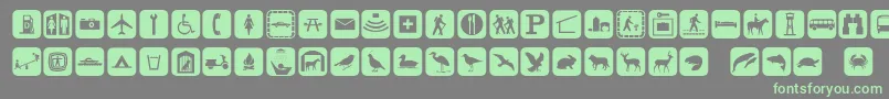 Signpixone-fontti – vihreät fontit harmaalla taustalla