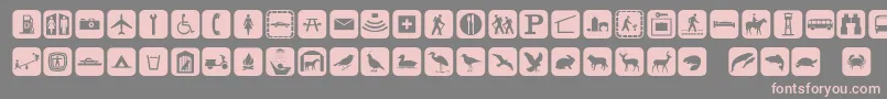 Signpixone Font – Pink Fonts on Gray Background