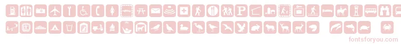 Signpixone Font – Pink Fonts on White Background
