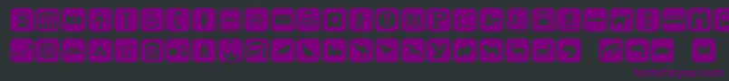 Signpixone Font – Purple Fonts on Black Background