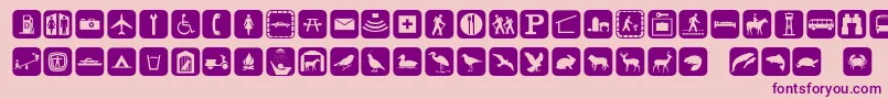 Signpixone Font – Purple Fonts on Pink Background