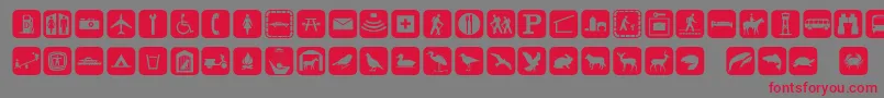 Signpixone Font – Red Fonts on Gray Background