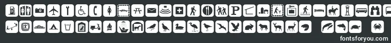 Signpixone Font – White Fonts on Black Background