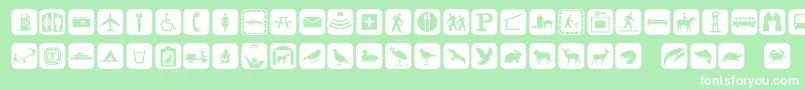 Signpixone Font – White Fonts on Green Background