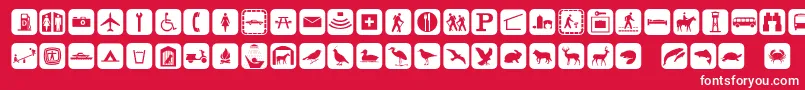 Signpixone Font – White Fonts on Red Background