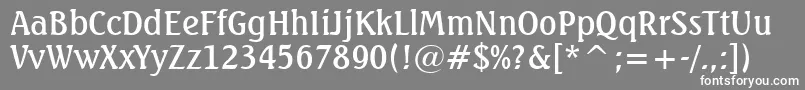 フォントSeagullMediumBt – 灰色の背景に白い文字