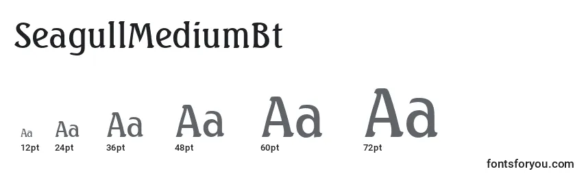 SeagullMediumBt Font Sizes