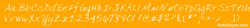 Lehn134 Font – White Fonts on Orange Background